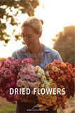 Best Dried Flowers Flower Delivery