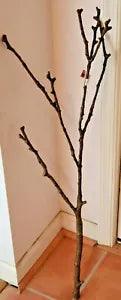 Ashland Naturals Artificial Brown Fall  38" Long Stem Branch #549627 (NEW)