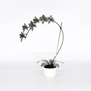 Orchid #9 Etched Stainless Steel