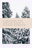 6 Reasons You Should Have a Winter Wedding - The Wedding Shoppe Flower Delivery