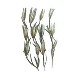 12x Dried Flowers Dried Pressed Flowers for Candle Jewelry Epoxy Resin