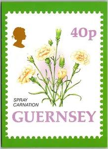 Postcard: Guernsey Flower Definitives - Spray Carnation A86