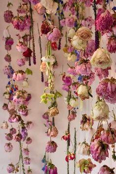 Que faire avec des fleurs s¡§?ch¡§?es?? Flower Delivery
