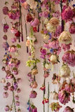 Que faire avec des fleurs s¡§?ch¡§?es?? Flower Delivery