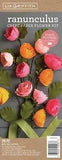 Pacon-Crepe Paper Flower Kit -Ranunculus