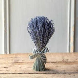 Medium Sized All Natural Preserved Lavender Bundle with Ribbon