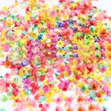 1g Natural Dried Flower Heads for Resin Epoxy Filling Candle Making Nail Art DIY