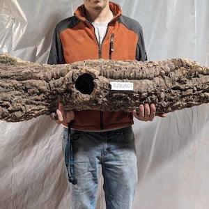 COLOSSAL 44" Cork Round - #2605 - for Reptiles, Airplants, Orchids, and Terrariums