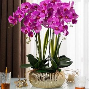 VICKY YAO Faux Floral - Royal Silk Faux Fuschia / 5 stems White Orchids Flower Arrangement With Gold Pots