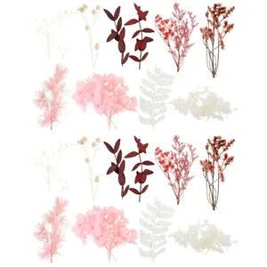 2 Sets Preserved Flower Material Pack Natural Dried Scrapbook Flowers Mold