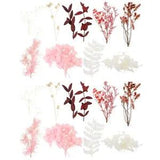 2 Sets Preserved Flower Material Pack Natural Dried Scrapbook Flowers Mold