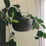 Hanging Ceramic Planter, Modern Pottery Planter, indoor, 4 inch, 6 inch, 8 inch, 10 inch, made in Canada