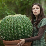 Crocheted 20" GIANT CACTUS - Vampire Sucks