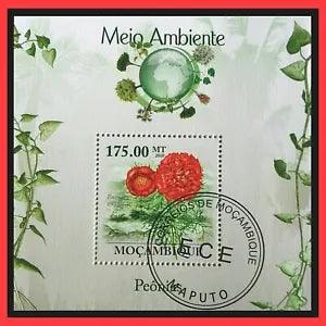 041. MOZAMBIQUE 2010 USED STAMP M/S FLOWERS , PEONY