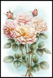 Peonies 5 - DIY Chart Counted Cross Stitch Patterns Needlework DMC Color 14 ct