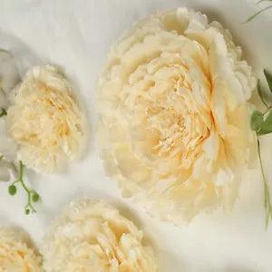 6 pack 12" 16" 20" Ivory and Cream Tissue Paper Carnation Flowers Home Backdrop