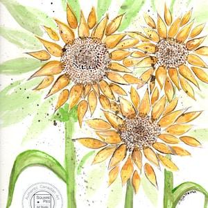 Ubiquitous - Group of 3 big, bold, yellow, Sunflowers on white background. The unofficial symbol of Ukraine - Original - 9 x 12 In