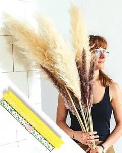 DEMAGHOMES Dried Pampas Grass Decor - Total 15 Stems | 3 Beige and Brown