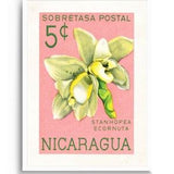 Nicaragua Art, Vintage Botanical Wall Art Print, Latin and Spanish art, Floral Wall art, Tropical Art Print, Orchid plant, Bathroom Wall Art