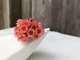 100 stems Natural Dry Flowers Brazilian Small Star Daisy Lotus Color