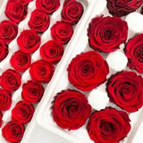 Preserved Rose single piece | Red | Dried & Everlasting flower | Bouquet | Wedding | Birthday | Cake toppings | Flower decoration | UK