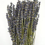 Dried Lavender Bulk Bunches - 20 Bunches Flower Delivery