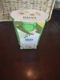 Daisy Grow Kit