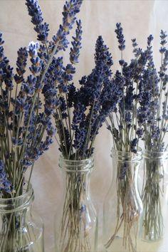 What can you do with a lavender bouquet? Flower Delivery