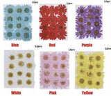 New Makeup Resin DIY Daisy Dried Flower Art Jewelry Making Pressed