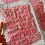 Pressed Dried Natural Pink Consolida Ajacis Flower For Crafts And Home Accessory