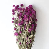 Dried Flower Purple Globe Amaranth Natural Dried Rose Flowers Bundles Flowers