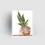 Snake Plant Gicl¡§?e Art Print from Original Watercolor Impression Painting, Laurentii Variegated Saint George's Sword Home Wall D¡§?cor Hanging