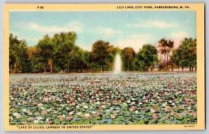 Parkersburg, West Virginia - Largest Lake of Lilies - Vintage Postcard
