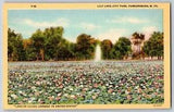 Parkersburg, West Virginia - Largest Lake of Lilies - Vintage Postcard
