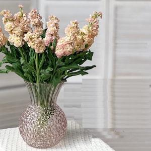 Hoary Stock Seeds ?C Apricot Hoary Stock - Matthiola incana ?C Gilly Flower - Annual Flower Seeds