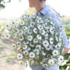 Search: 234 results found for "love*" Flower Delivery