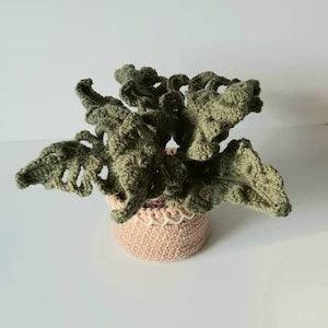 New! Green Monstera Plant, 9" x 12" (23 x 30.5 cm) Table or Hanging Plant, Decor, Hand Crocheted