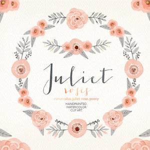 Watercolor blush pink wreath, juliet roses, ranunculus, peony, wedding flowers, bouquet florals, clip art, vintage invite, diy invitation