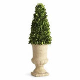 PG 24' CONE TOPIARY IN URN