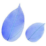 Pressed leaves foliage, blue 20pcs floral art, resin craft scrapbooking