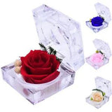 Preserved Red Rose Flowers Real Rose in Gift Box Never Withered Romantic Gifts