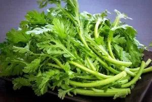 Garland Chrysanthemum Greens 500 Seeds | Edible Crown Daisy Shungiku