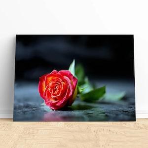 Flowers Depth of Field Roses Canvas Wall Art,Floral Home Decor,Romantic Botanical Artwork,Enhance Your Space with Vintage Floral Charm