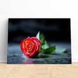 Flowers Depth of Field Roses Canvas Wall Art,Floral Home Decor,Romantic Botanical Artwork,Enhance Your Space with Vintage Floral Charm