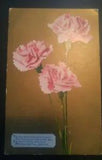 Vintage Postcard Carnations Flowers Floral Picture Unused