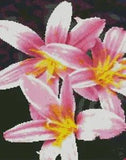 Belladonna Lily - Cross Stitch Chart/Pattern/Design/XStitch