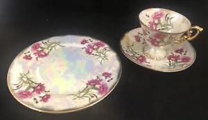 Ucagco January Carnation Teacup Saucer & Luncheon Plate Flower of the Month