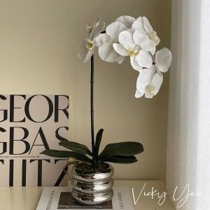 Vicky Yao Faux Floral - Birthday Gift Real Touch Faux Orchid Arrangement In Silver Pot