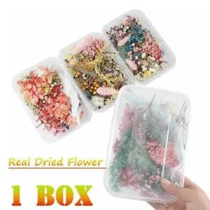 1Box Real Dried Flowers For DIY Art Craft Epoxy Resin Pendant Jewellery Making
