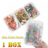1Box Real Dried Flowers For DIY Art Craft Epoxy Resin Pendant Jewellery Making